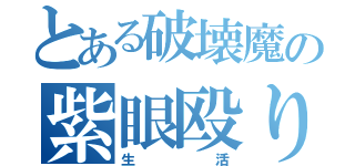 とある破壊魔の紫眼殴り（生活）