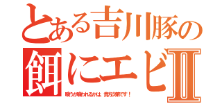 とある吉川豚の餌にエビⅡ（喰うか喰われるかは、貴方次第です！）