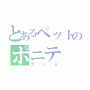 とあるペットのポニテ（カッピ）