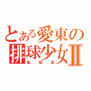 とある愛東の排球少女Ⅱ（保坂泉）