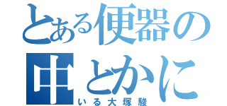 とある便器の中とかに（いる大塚駿）