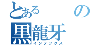 とあるの黒龍牙（インデックス）