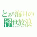 とある海月の浮世放浪（ワンダリング）