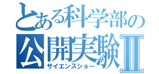 とある科学部の公開実験Ⅱ（サイエンスショー）