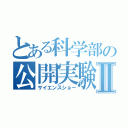 とある科学部の公開実験Ⅱ（サイエンスショー）