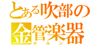 とある吹部の金管楽器（ホルン）