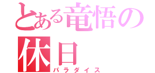 とある竜悟の休日（パラダイス）