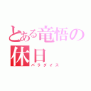 とある竜悟の休日（パラダイス）