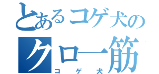 とあるコゲ犬のクロ一筋（コゲ犬）