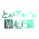 とあるアホっ子の暴走子猫（（ミ零ω猫ミ）つ）