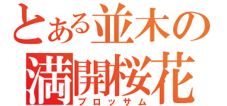 とある並木の満開桜花（ブロッサム）