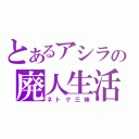 とあるアシラの廃人生活（ネトゲ三昧）