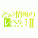 とある情報のレベル５Ⅱ（折原臨也）