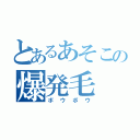 とあるあそこの爆発毛（ボウボウ）