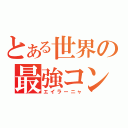 とある世界の最強コンビ（エイラーニャ）