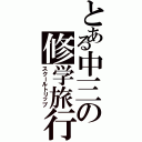 とある中三の修学旅行（スクールトリップ）