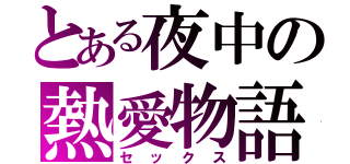 とある夜中の熱愛物語（セックス）