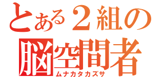 とある２組の脳空間者（ムナカタカズサ）