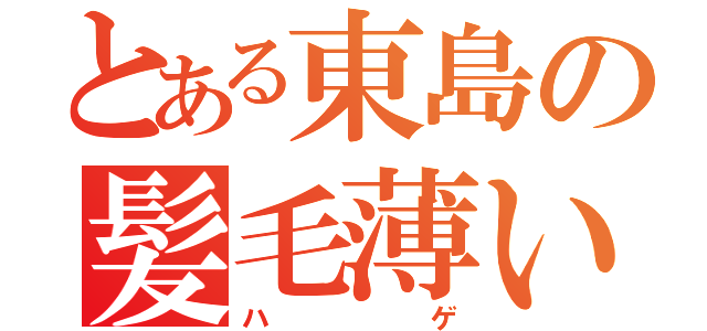 とある東島の髪毛薄い（ハゲ）