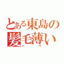 とある東島の髪毛薄い（ハゲ）