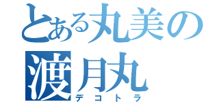 とある丸美の渡月丸（デコトラ）