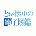 とある懐中の電子図鑑（インデックス）