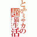 とあるミサカの超猫生活（スローライフ）