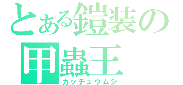 とある鎧装の甲蟲王（カッチュウムシ）