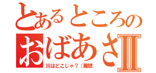 とあるところのおばあさん（≧∇≦）Ⅱ（川はどこじゃ？（難聴）