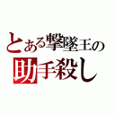 とある撃墜王の助手殺し（）