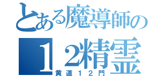 とある魔導師の１２精霊（黄道１２門）