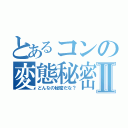 とあるコンの変態秘密Ⅱ（どんなの秘密だな？）