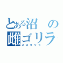 とある沼の雌ゴリラ（メスゴリラ）