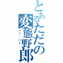 とあるただの変態野郎（ハァ…ハァ…）