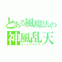 とある風魔法の神風乱天斬（シーンドライブ）