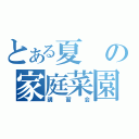 とある夏の家庭菜園（講習会）