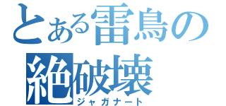 とある雷鳥の絶破壊（ジャガナート）