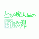 とある廃人猫の類級魂（ソフトボール）