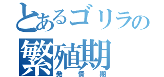 とあるゴリラの繁殖期（発情期）