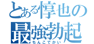 とある惇也の最強勃起（ちんこでかい）