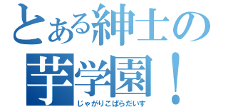 とある紳士の芋学園！（じゃがりこぱらだいす）