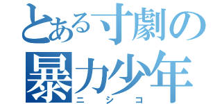 とある寸劇の暴力少年（ニシコ）