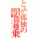 とある孤独の戦闘機乗り（パイロット）