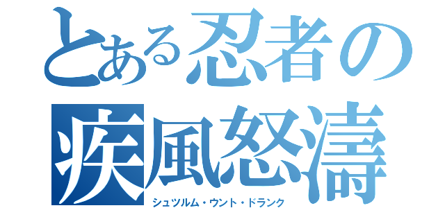 とある忍者の疾風怒濤（シュツルム・ウント・ドランク）