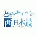 とあるキチガイ達の西日本最西端（アンバラビー）