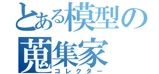 とある模型の蒐集家（コレクター）