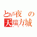 とある夜鷹の天瑞方城（大呆子）