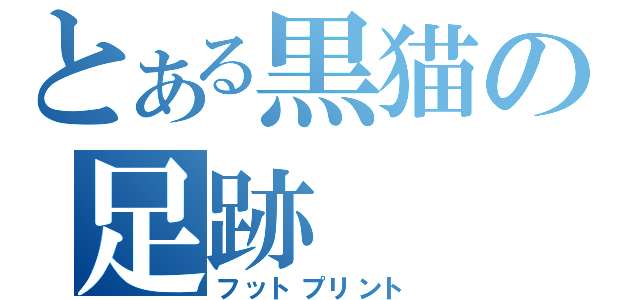 とある黒猫の足跡（フットプリント）