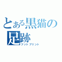 とある黒猫の足跡（フットプリント）