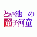 とある池の童子河童（カッパ）